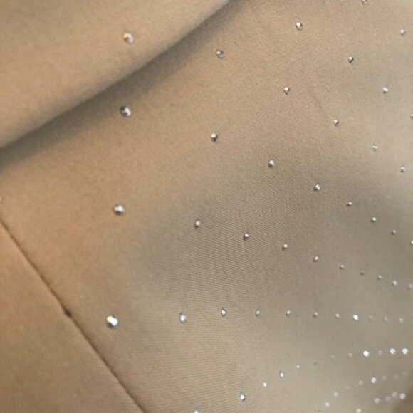 BNWT ZARA Beige Gold Sparkle Blazer – Size L – New with Tags - Picture 4 of 4